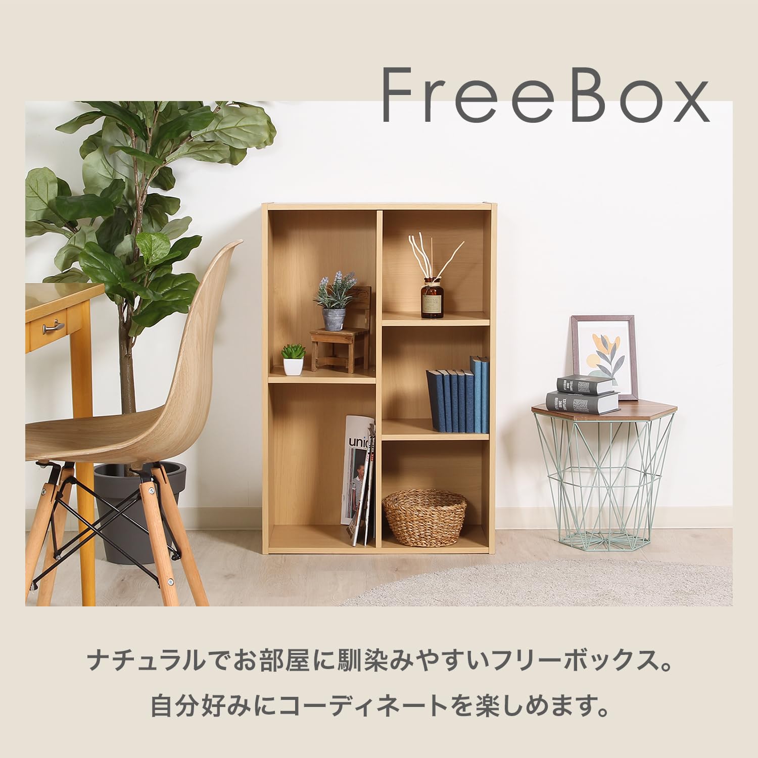 Fuji Boeki 86007 Free Box, Color Box, 2 Rows, Width 23.2 x Depth